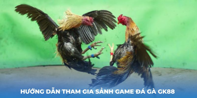 Hướng dẫn tham gia sảnh game Đá gà GK88