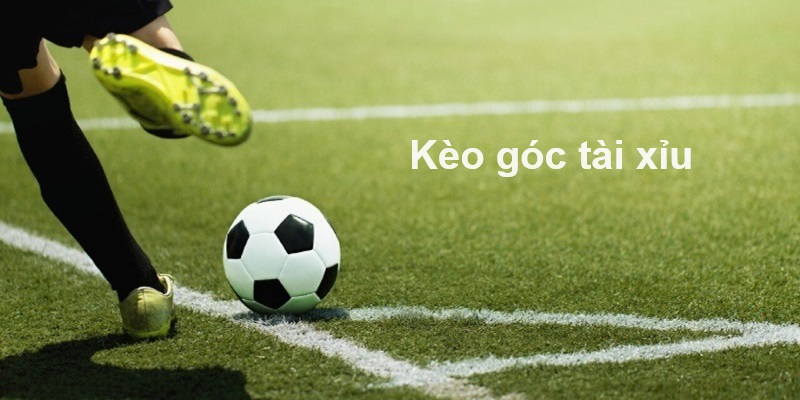 Kèo phạt góc tỷ lệ tài xỉu là kiểu chơi được nhiều bet thủ biết đến nhiều nhất