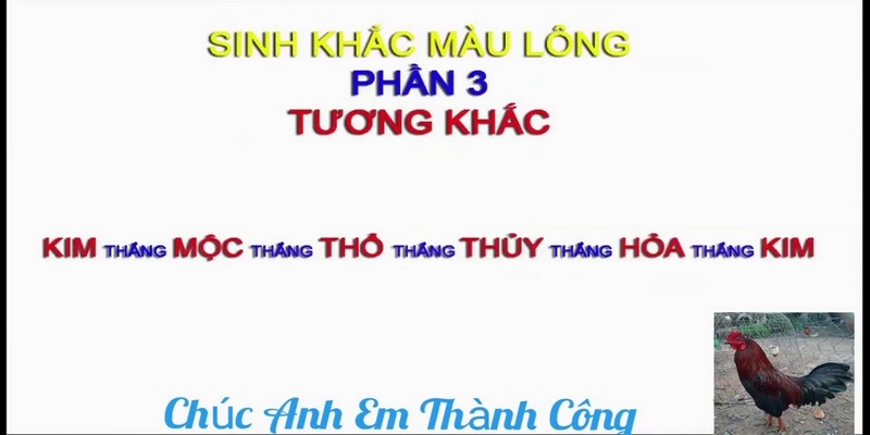 Sinh khắc màu lông ảnh hưởng đến may mắn đặt cược