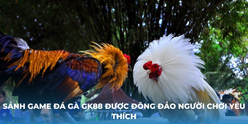 Sảnh game đá gà GK88 được đông đảo người chơi yêu thích