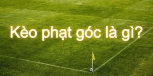 Kèo phạt góc | Giới thiệu các kiểu chơi thông dụng 2024